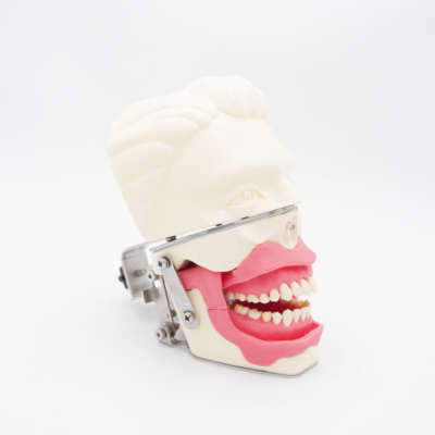 Учебный реалистичный макет для анестезии полости рта, имитация десны и челюсти для отработки инъекций, модель проводниковой анестезии в стоматологии