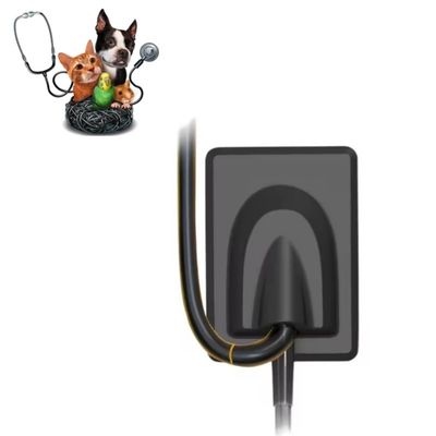 Хорошая цена. Ветеринарное стоматологическое оборудование Цифровая система рентгеновской визуализации Зъбы для домашних животных Рентгеновский датчик RVG онлайн