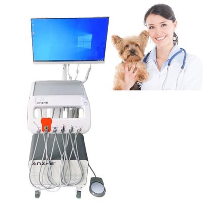 Хорошая цена. Передвижной стоматологический рабочий стол для ветеринарного терапевтического оборудования, ухода за зубами животных, передвижная стоматологическая тележка онлайн