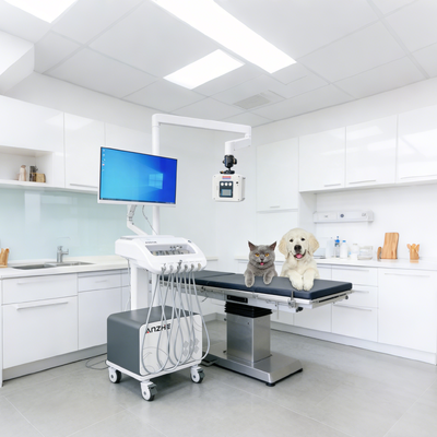 Portable Dental Therapy Unit with Built in X Ray and PC Mobile Dental Cart with Air Compressor Suction System Dental Delivery Unit for Clinic and Outreach Use