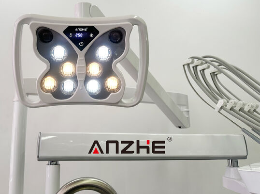 Ветеринарное стоматологическое отделение VET-PRO серии с тихим 32L воздушным компрессором и 5-держателем инструментального комплекта в 304 нержавеющей стали